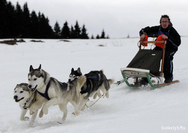 •  Fotó: Kristó Róbert