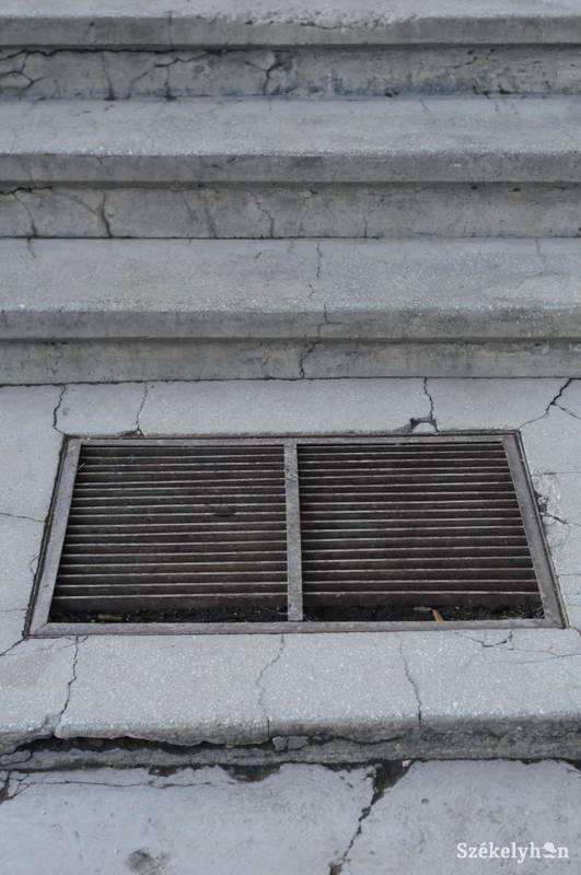 •  Fotó: Kristo Robert                       