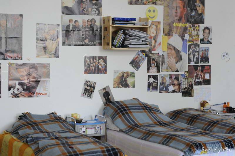 •  Fotó: Kristo Robert                       