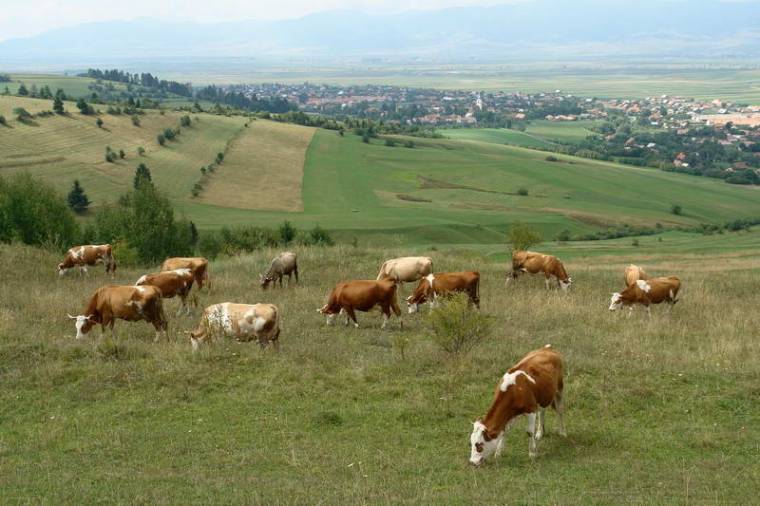 Mégis lesznek 2010-ben is mezőgazdasági segélyek?