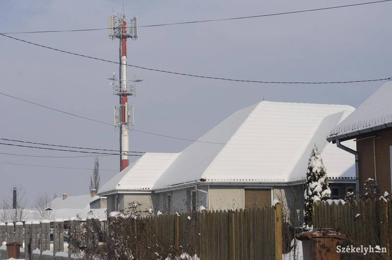 •  Fotó: Kristo Robert                       