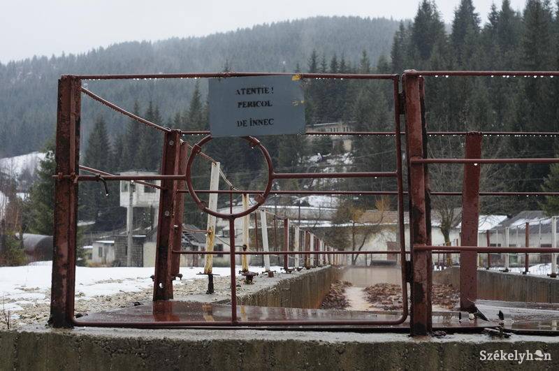 • Fotó: Kristo Robert