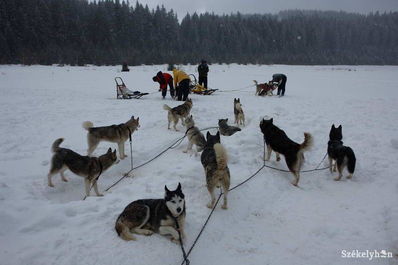 •  Fotó: Kristó Róbert