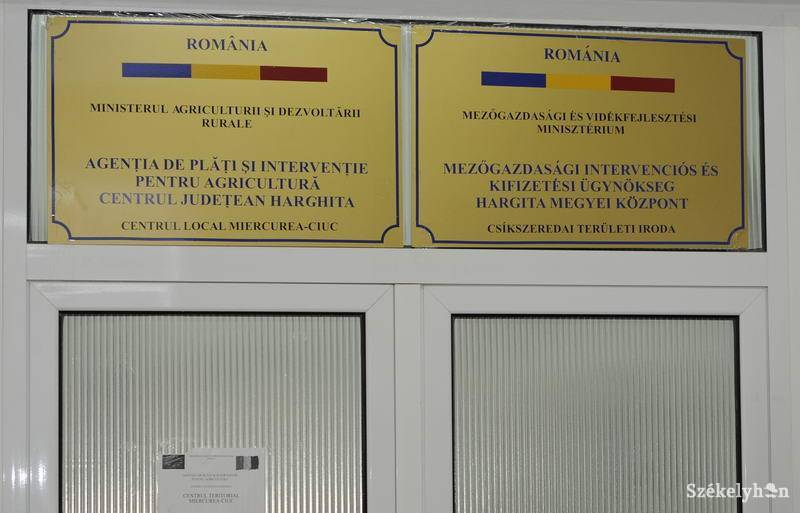 • Fotó: Kristo Robert