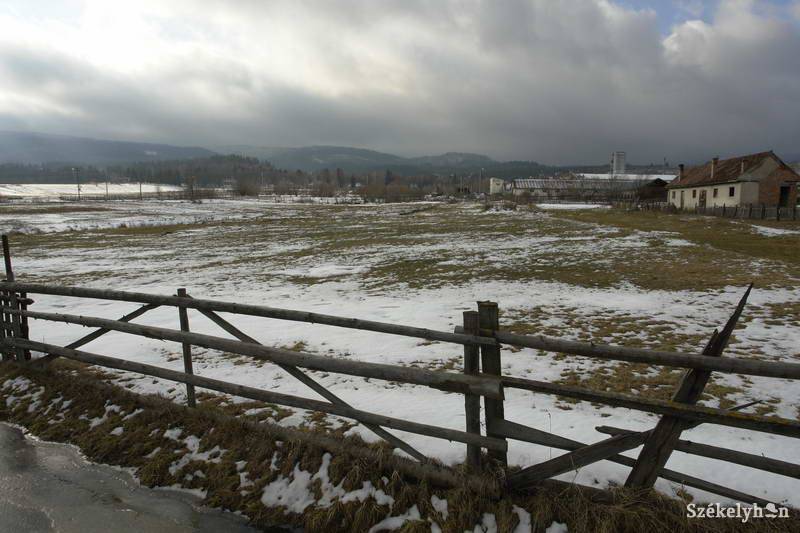 • Fotó: Kristó Róbert