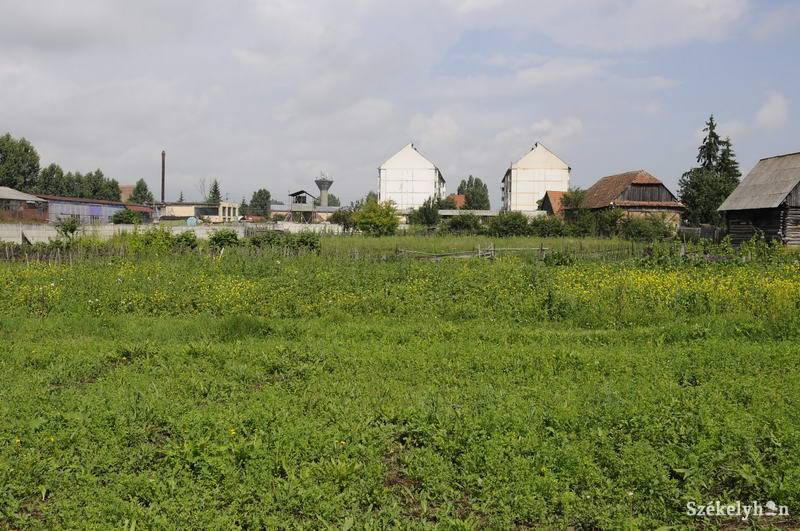 • Fotó: Kristo Robert