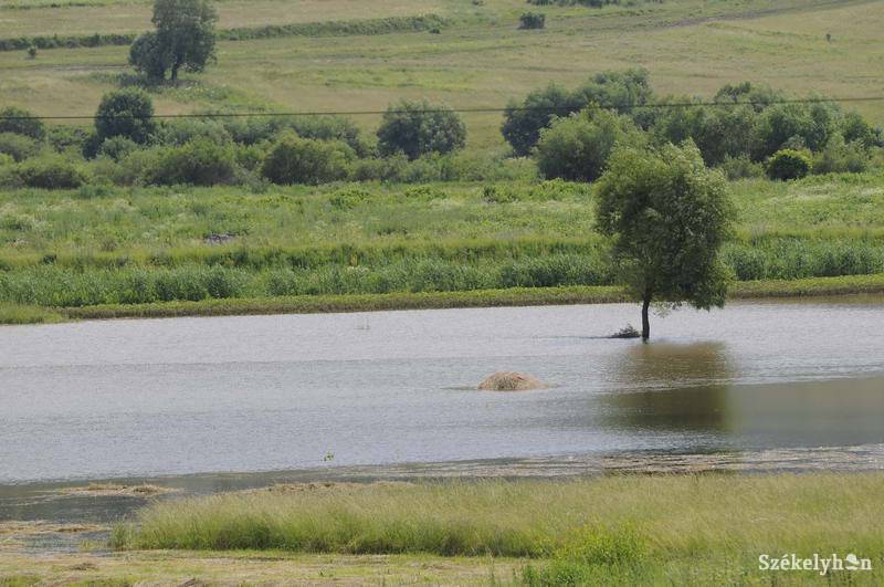 •  Fotó: Kristó Róbert