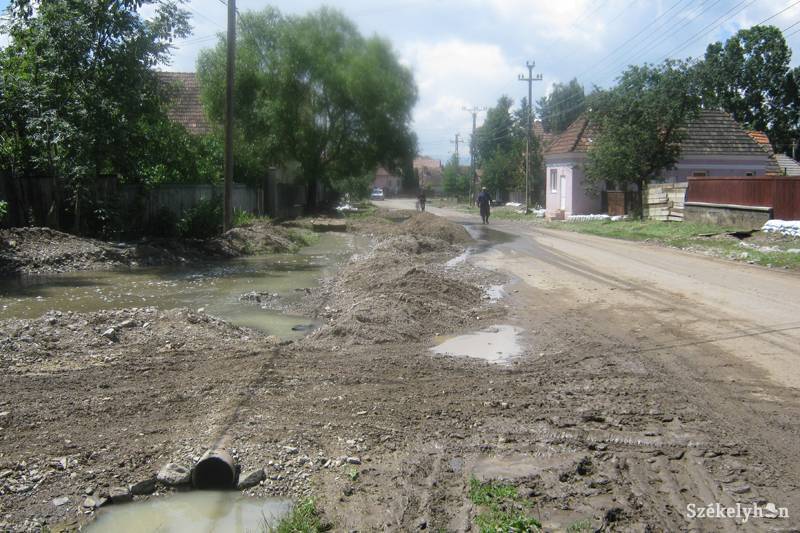 •  Fotó: Pál Gábor