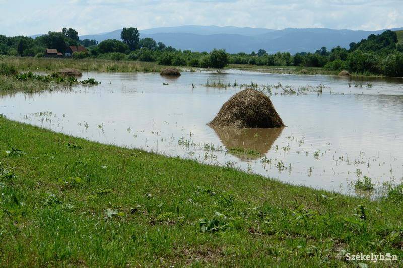 •  Fotó: Kristó Róbert