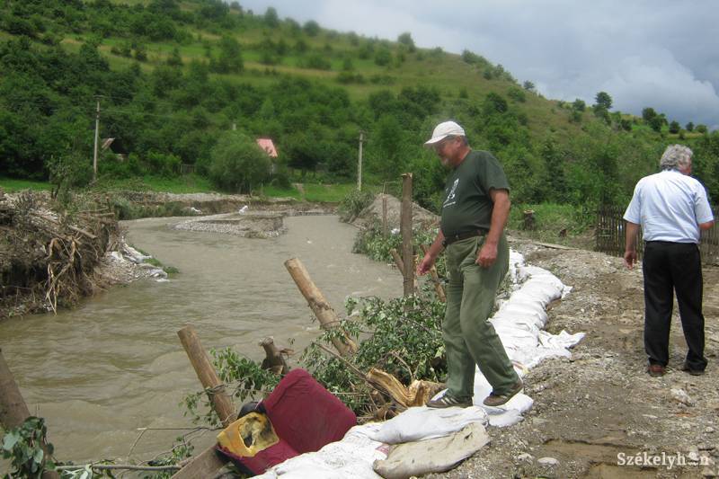 •  Fotó: Pál Gábor