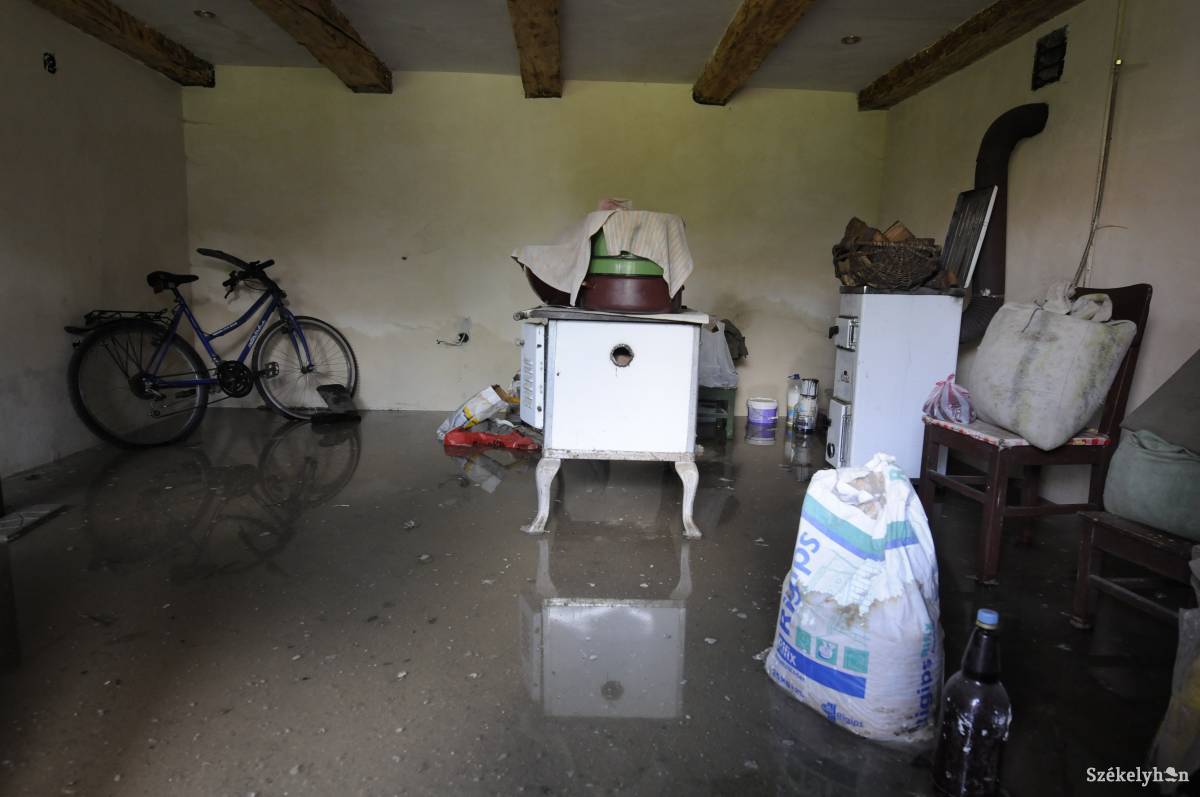 •  Fotó: Kristo Robert                       