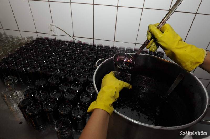 •  Fotó: Kristo Robert                       