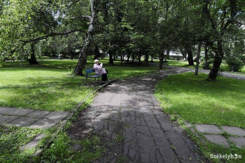 •  Fotó: Kristo Robert                       