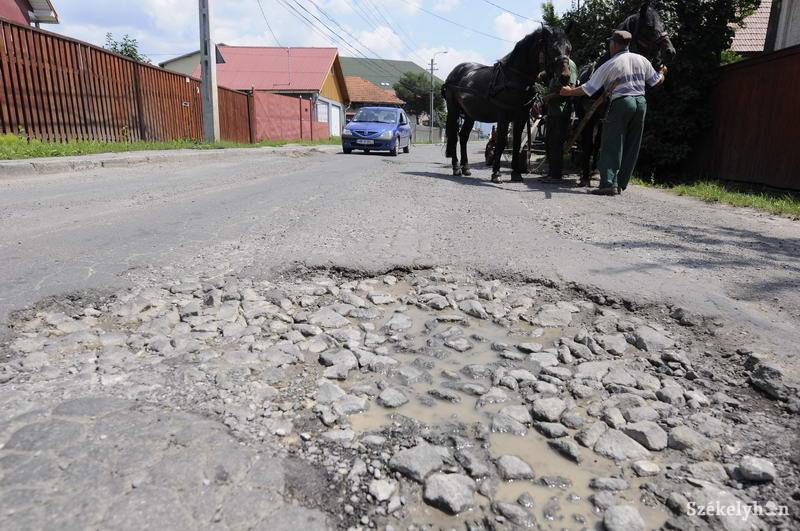 • Fotó: Kristo Robert