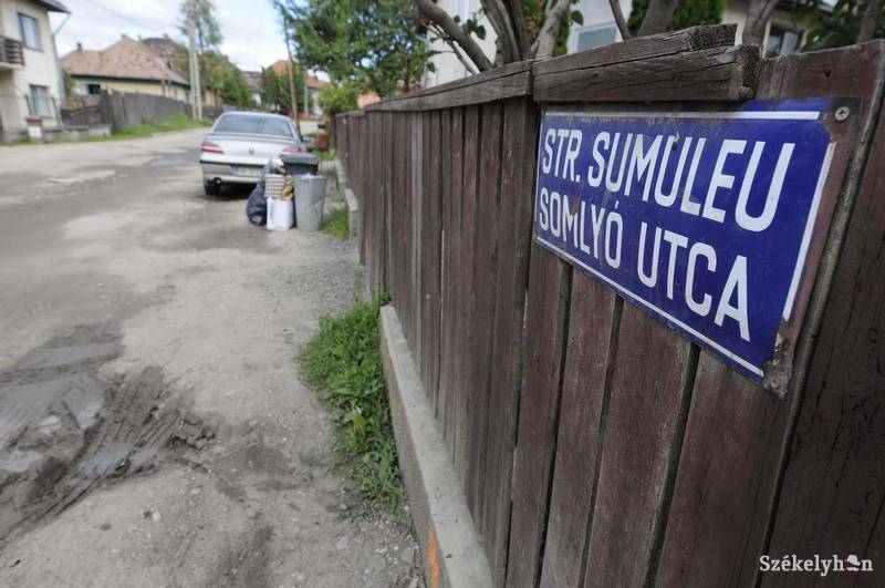 •  Fotó: Kristo Robert                       