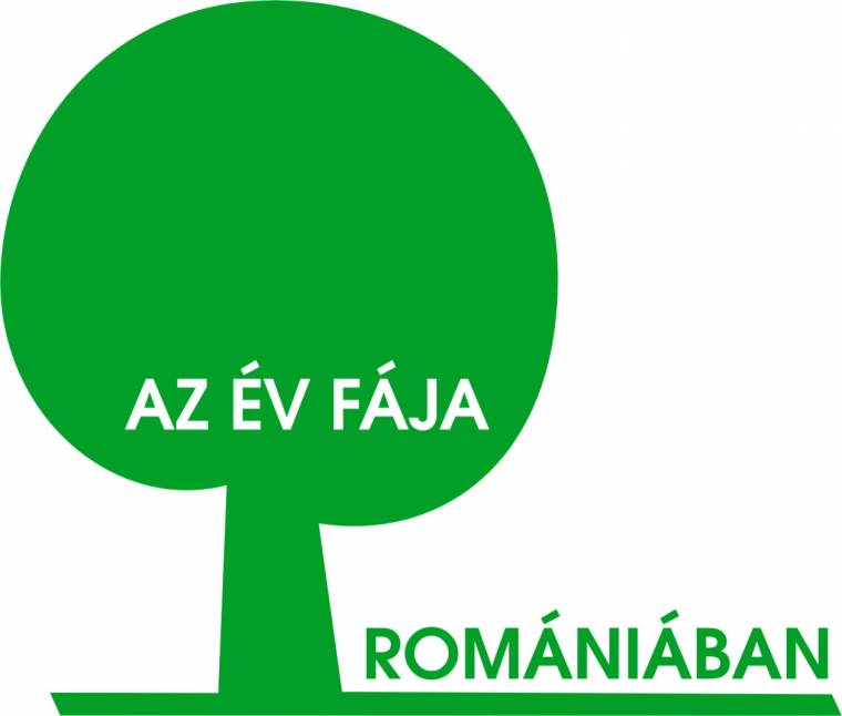 Az év fáját keresik