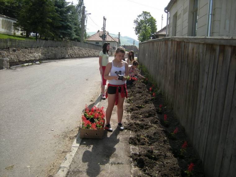 Életet vittek a faluba