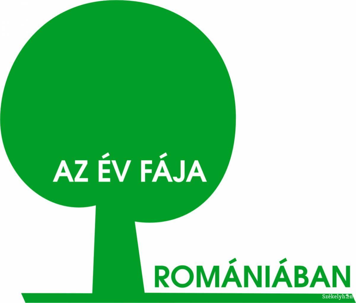 •  Fotó: Daczó Katalin