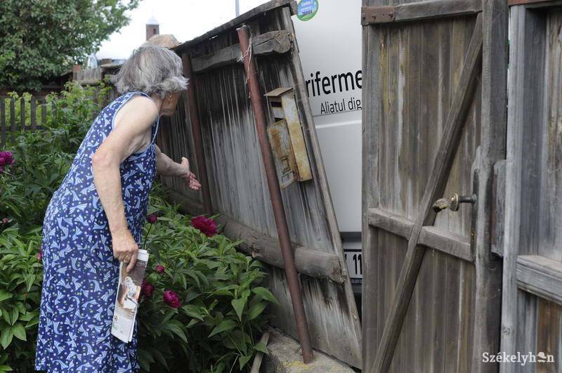 •  Fotó: Kristo Robert                       