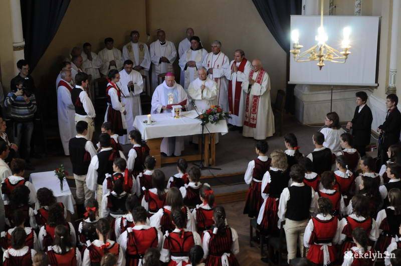 •  Fotó: Kristo Robert                       