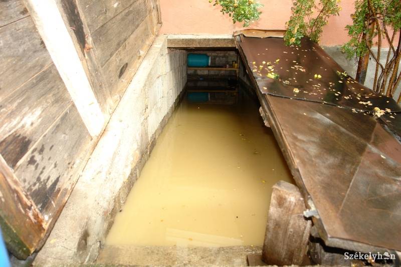 •  Fotó: Rédai Botond