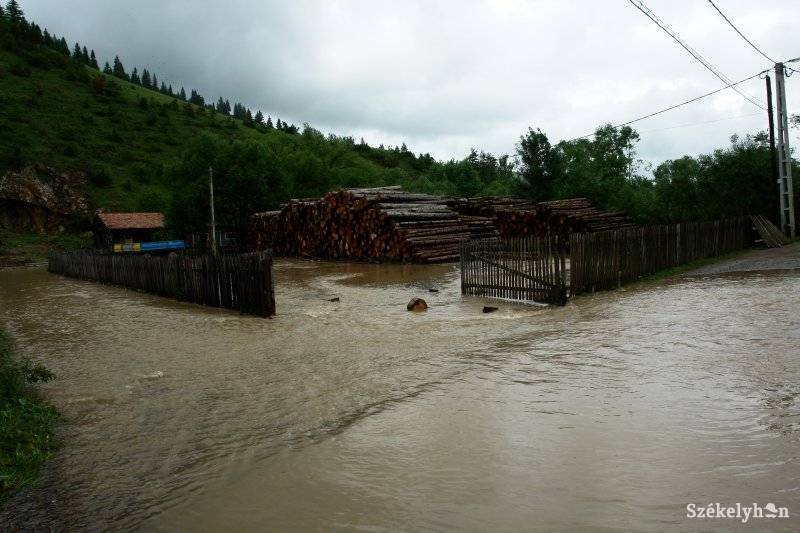 •  Fotó: RédaiBotond