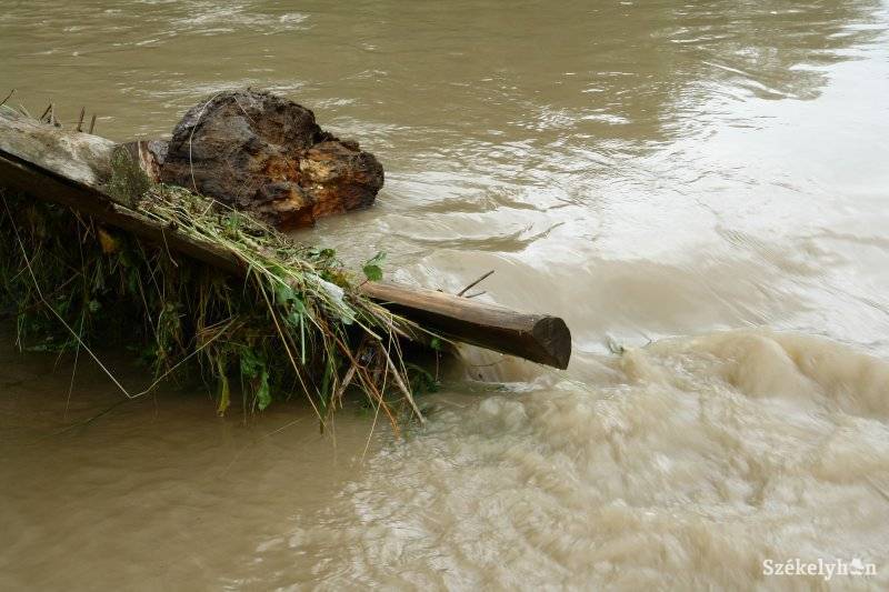 •  Fotó: RédaiBotond
