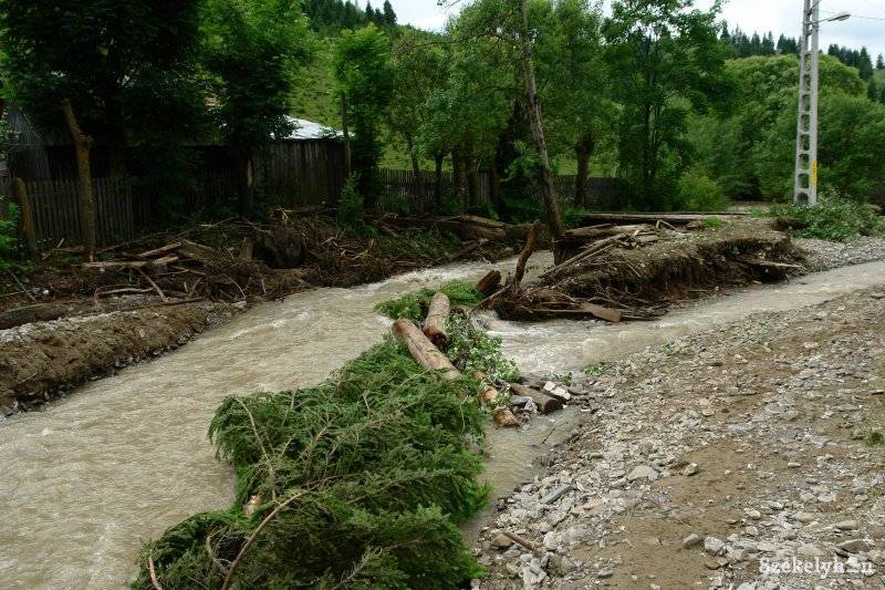 • Fotó: RédaiBotond