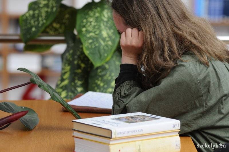 A fiatalokat arra ösztönzik, hogy szülővárosukra fordítsanak figyelmet •  Fotó: Kristó Róbert