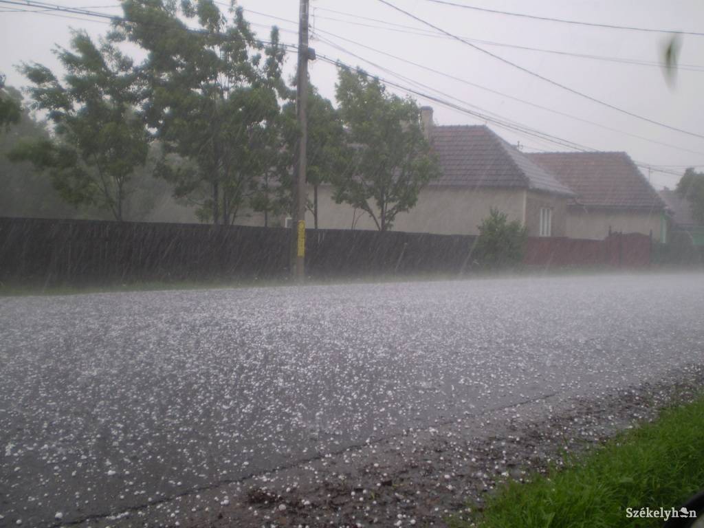 •  Fotó: Daczó Katalin