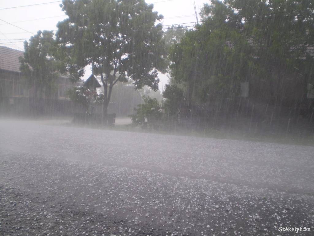 • Fotó: Daczó Katalin