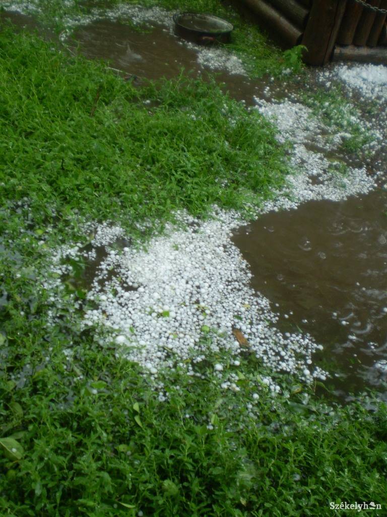 •  Fotó: Daczó Katalin