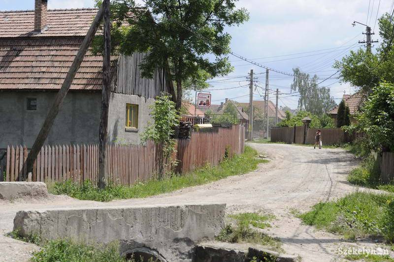 •  Fotó: Kristo Robert                       