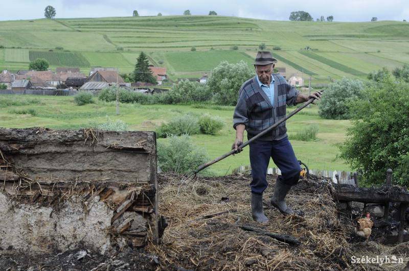 •  Fotó: Kristo Robert