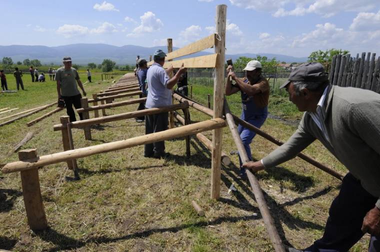 Szarvasmarha-kiállítás ritka látnivalóval