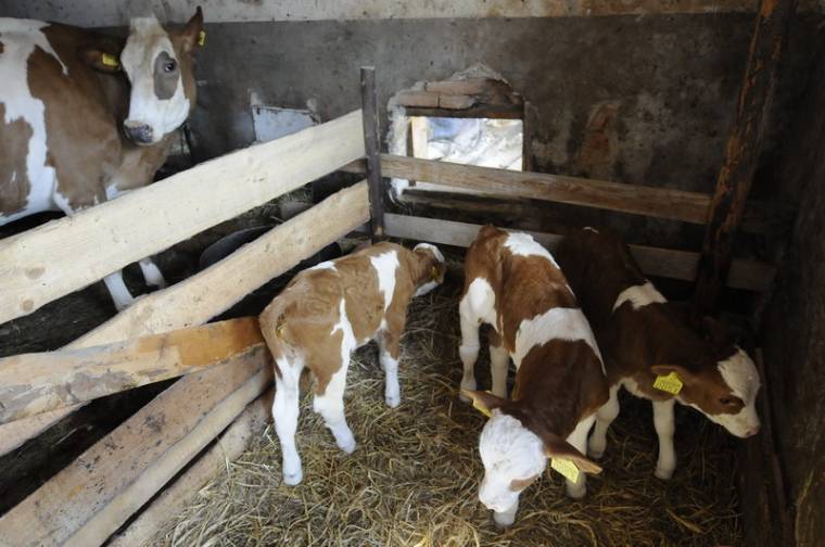 Ilyen még soha nem volt