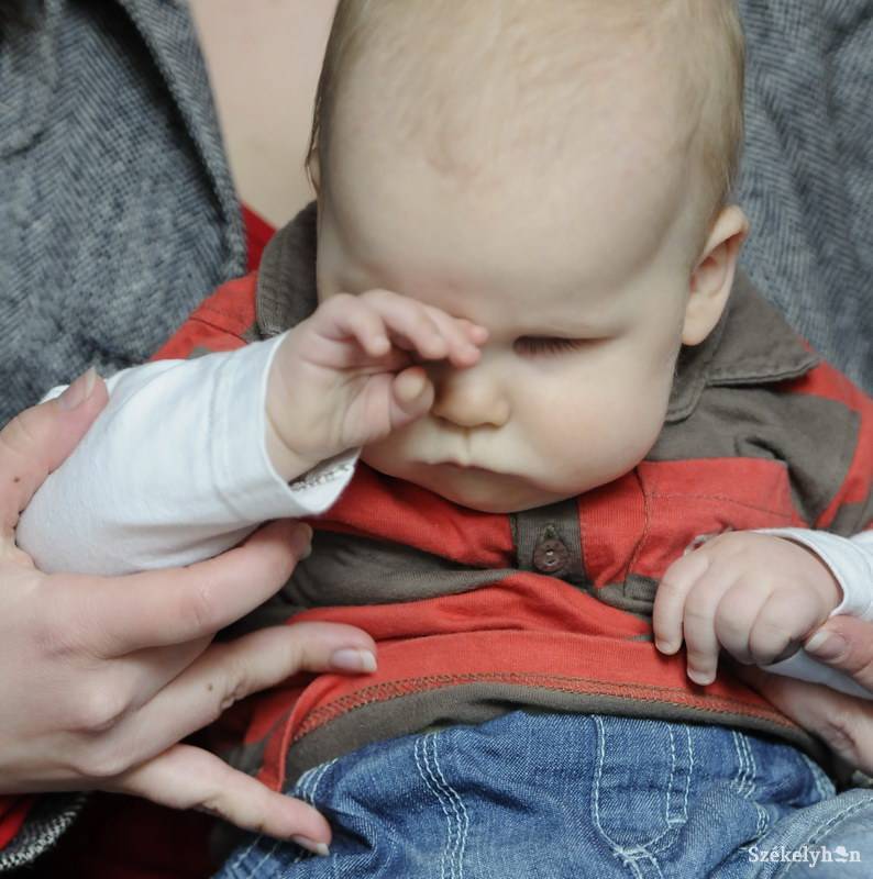 •  Fotó: Kristó Róbert