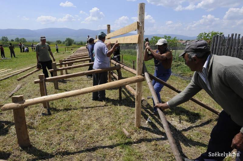 •  Fotó: Kristo Robert                       