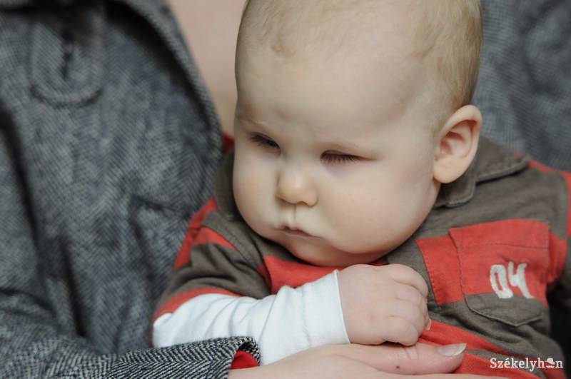 • Fotó: Kristó Róbert