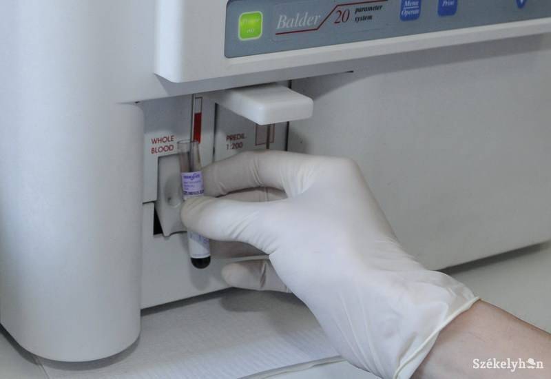 • Fotó: Kristo Robert