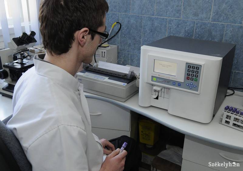 • Fotó: Kristo Robert