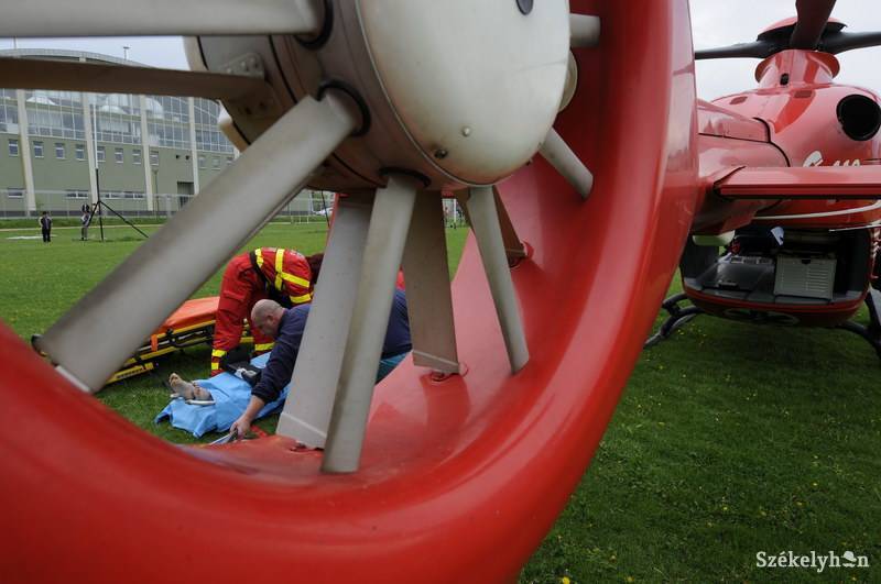 • Fotó: Kristo Robert