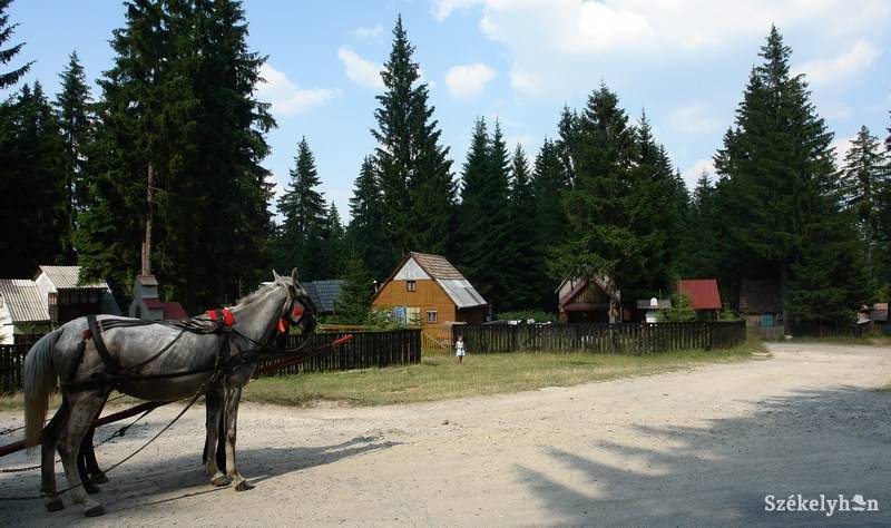 • Fotó: Kristó Róbert