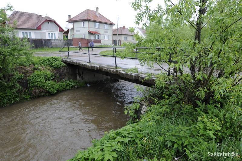 •  Fotó: Kristo Robert