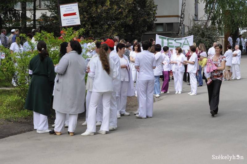 •  Fotó: Kristo Robert                       