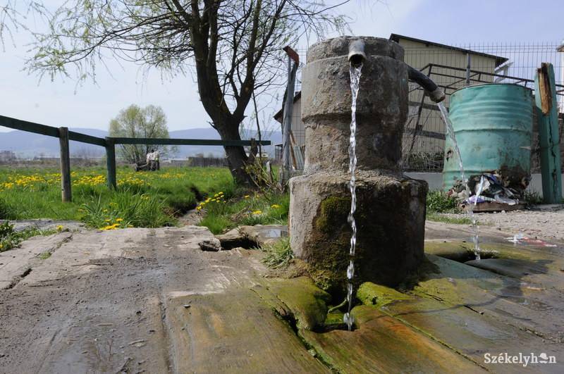 • Fotó: Kristo Robert