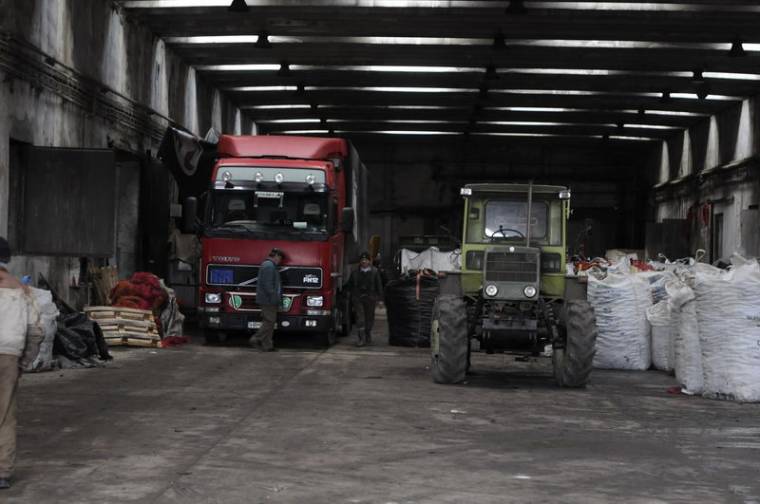 Elindult a csíki pityóka a békésieknek