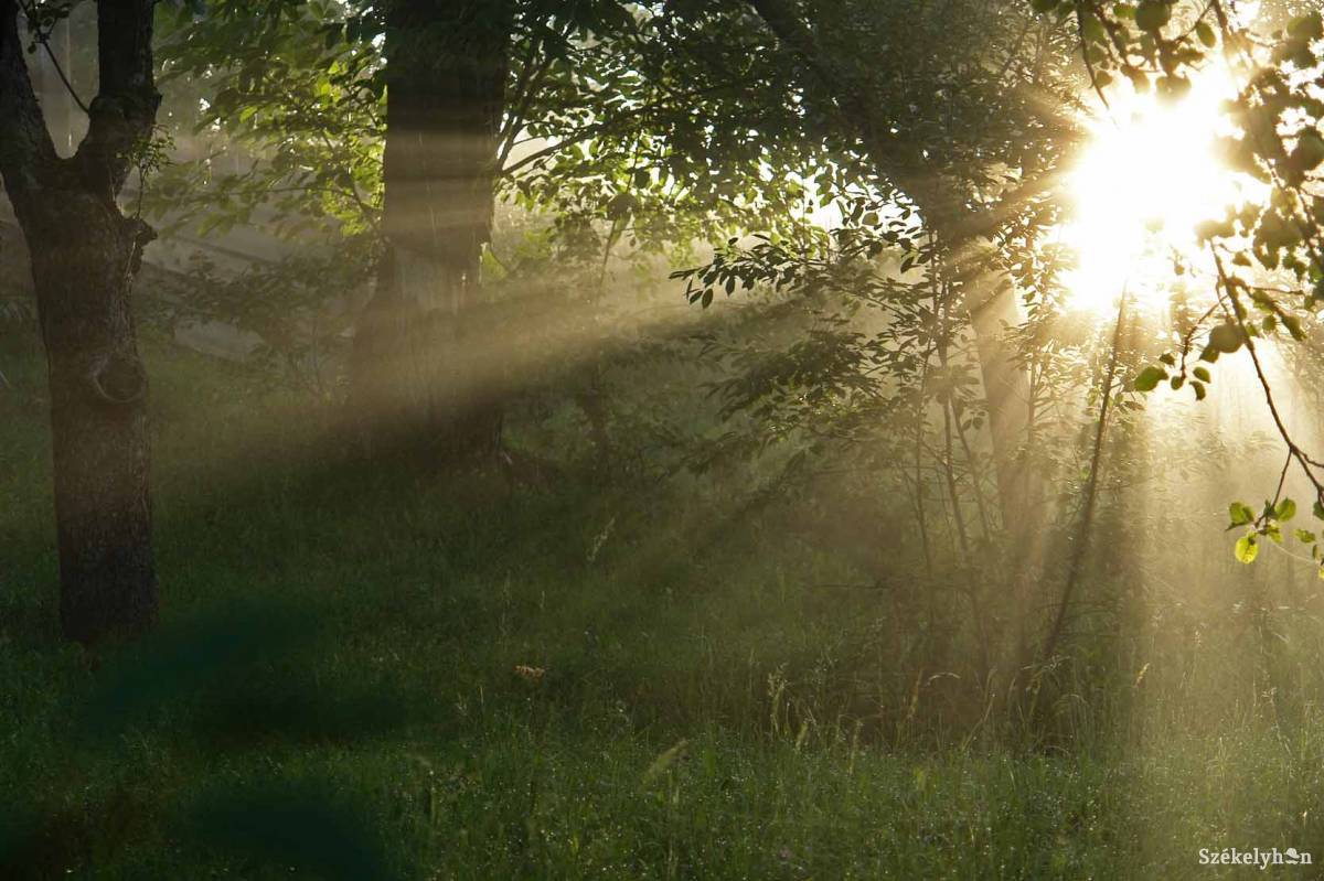 •  Fotó: Kristó Róbert