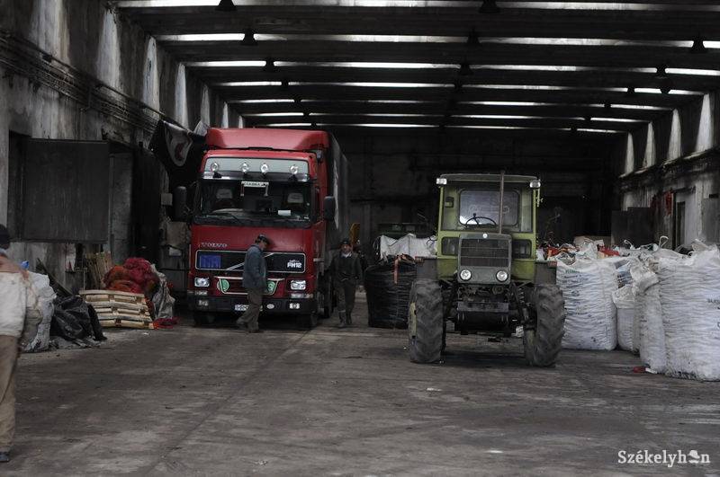 • Fotó: Kristo Robert