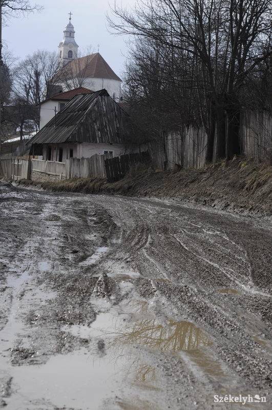 • Fotó: Kristo Robert